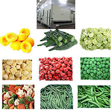 Individual Quick Freezer for frozen vegetables and fruits.jpg